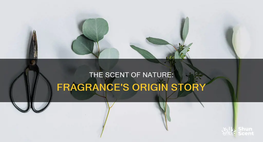 is fragrance natural