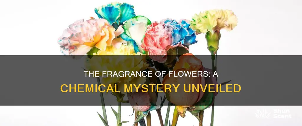 is fragrance of a flower a chemical change