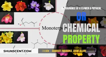 Unraveling the Mystery: Is a Flower's Scent Physical or Chemical?