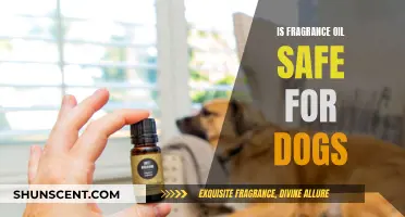 Can Dogs Safely Breathe Fragrance Oils?