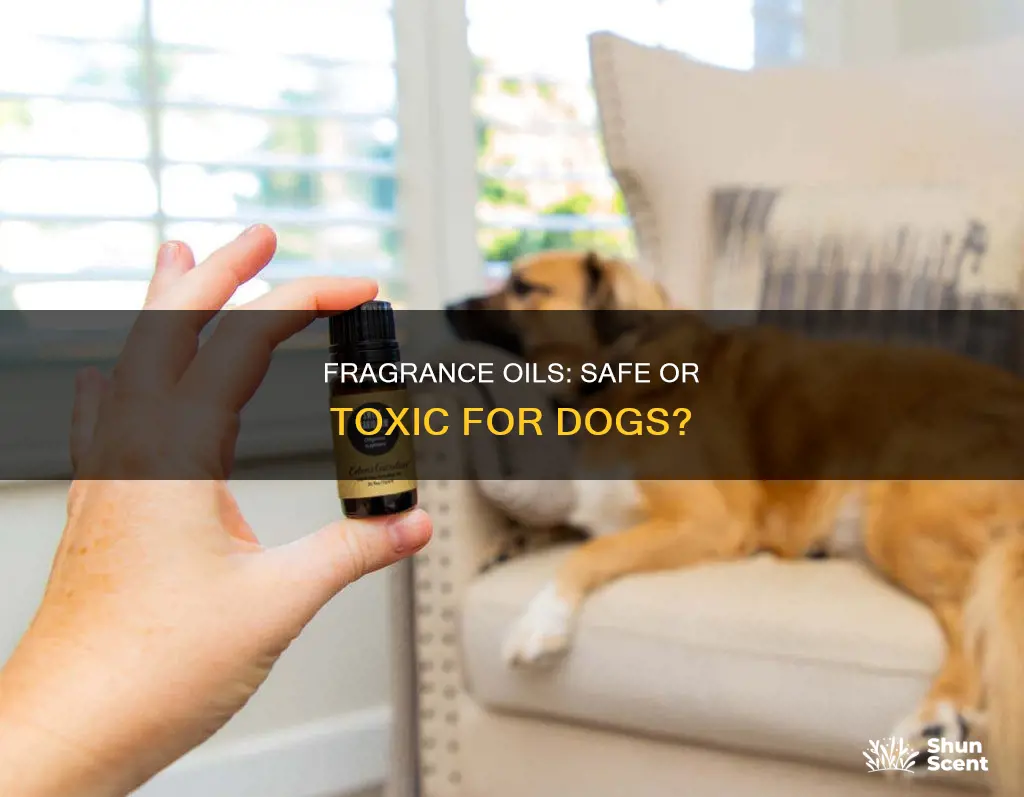 is fragrance oil safe for dogs