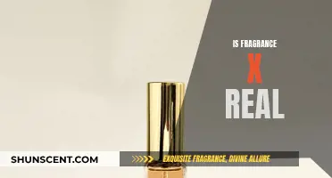 Fragrance X: Is It the Real Deal?