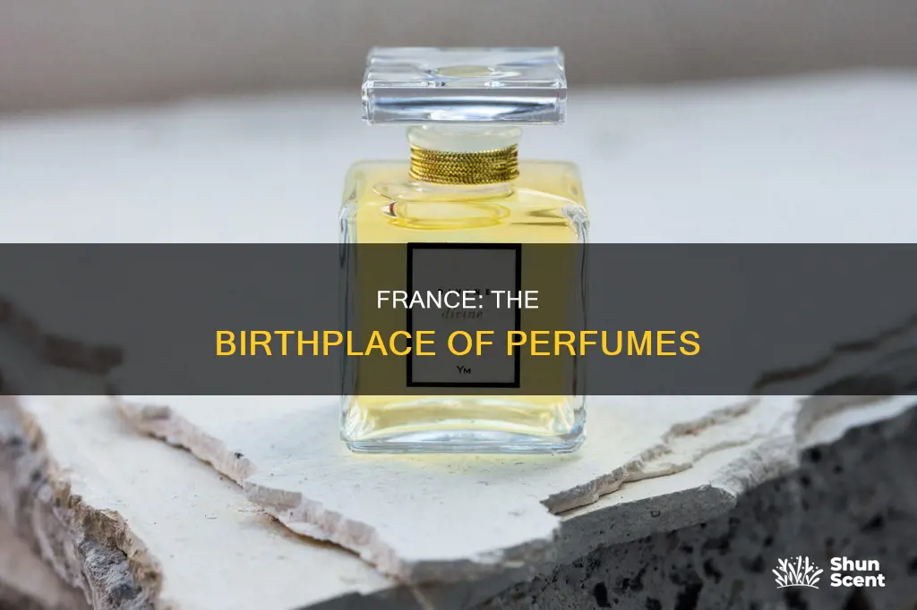 is france famous for perfume