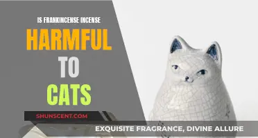 Frankincense Incense: Toxic or Safe for Cats?