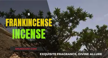 Frankincense: The Ancient Aromatic Resin with Healing Powers