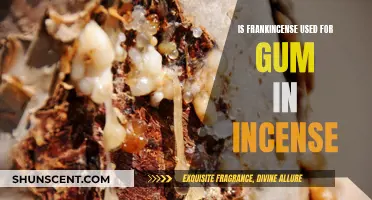 Frankincense: Gum-Based Incense and Its Ancient Uses