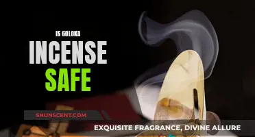 Goloka Incense: Safe or Not?