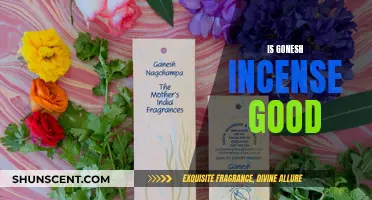 Gonesh Incense: Good or Bad for Your Health?