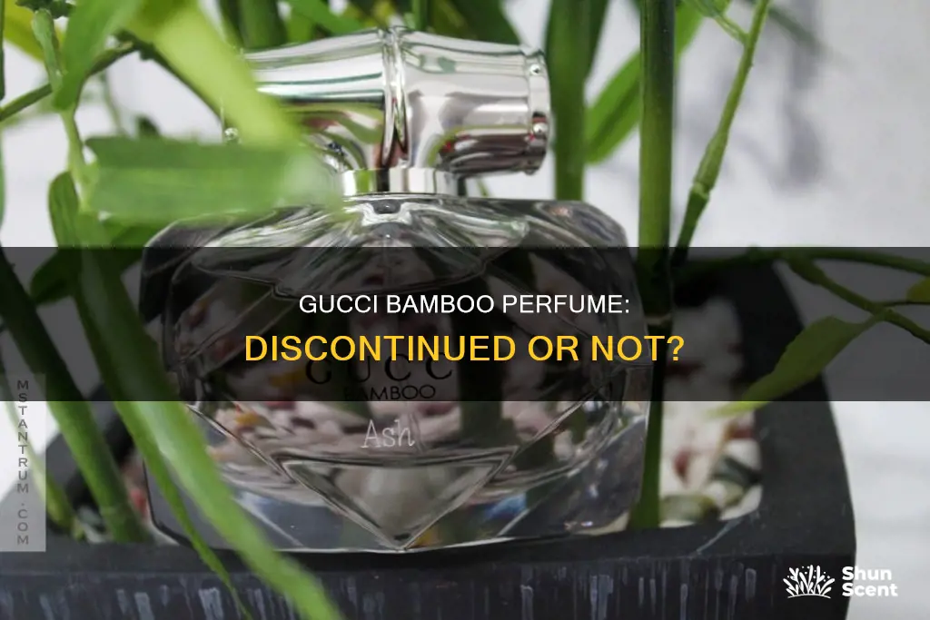 is gucci bamboo perfume discontinued