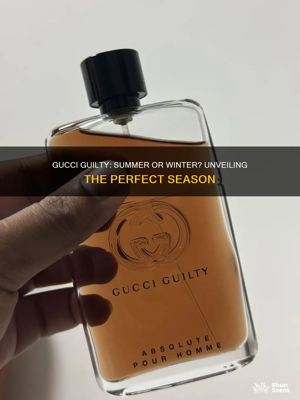 is gucci guilty a summer or winter fragrance