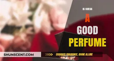 Guess Perfumes: Are They Worth the Hype?