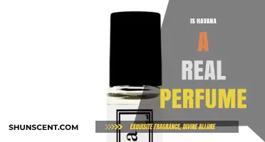 Havana Perfume: Is it Real or Fake?