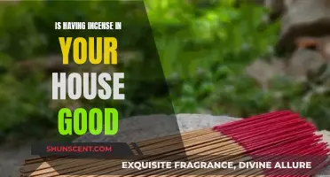 Incense in Your Home: Healthy or Harmful?