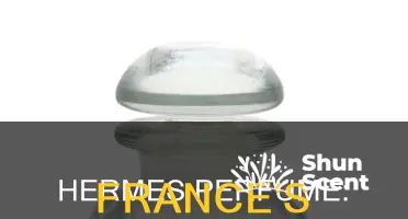 is hermes perfume cheaper in france