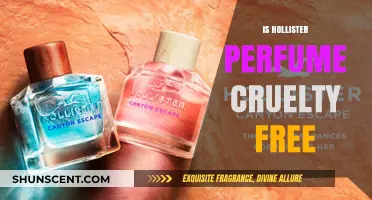 Hollister Perfume: Cruelty-Free or Not?