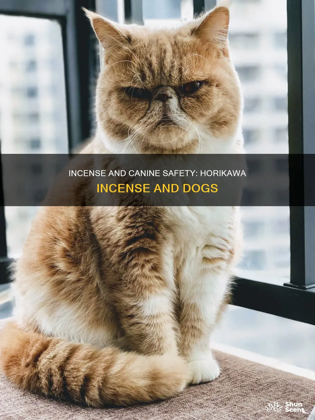 is horikawa incense safe for dogs