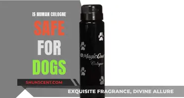 Colognes and Canines: A Safe Combination?