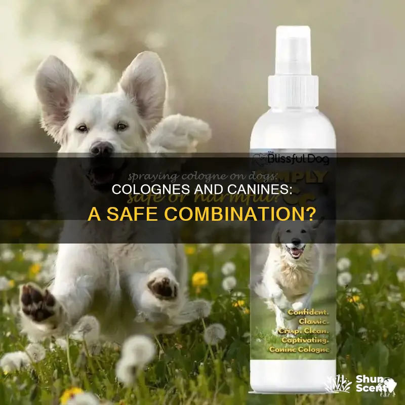 is human cologne safe for dogs