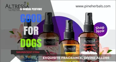 Human Perfume: Good or Bad for Dogs?