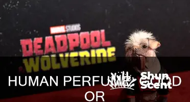 is human perfume good for dogs