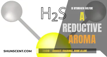 Hydrogen Sulfide's Reductive Aroma: A Complex Chemistry