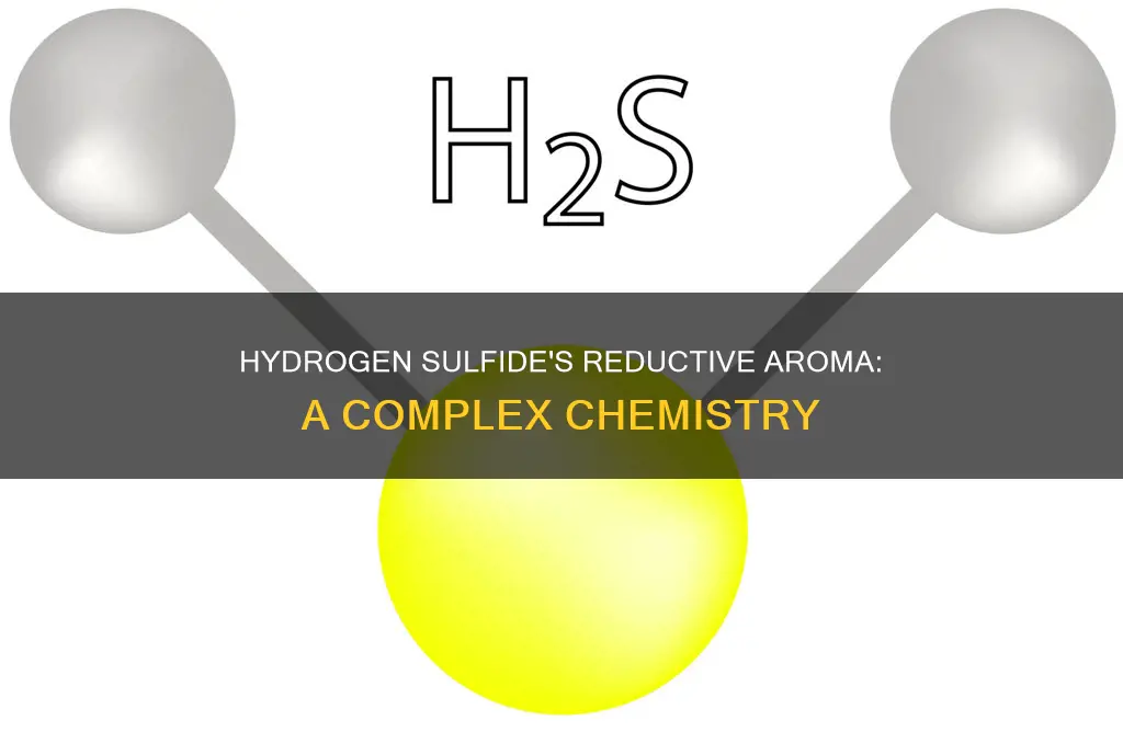 is hydrogen sulfide a reductive aroma