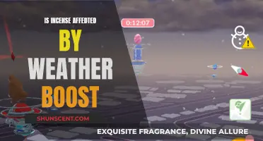 Incense and Weather: Does Rain or Shine Affect It?