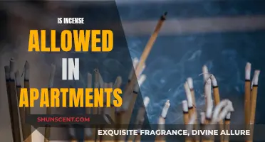 Incense Use in Apartments: What You Need to Know