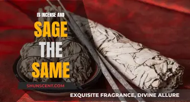Incense and Sage: Exploring Their Differences and Similarities