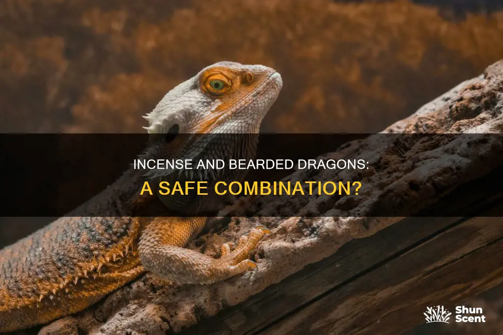 is incense bad for bearded dragons