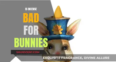 Incense and Bunnies: A Toxic Mix?