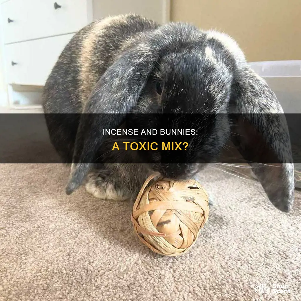 is incense bad for bunnies