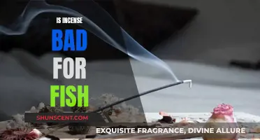 Incense and Fish: A Toxic Mix?