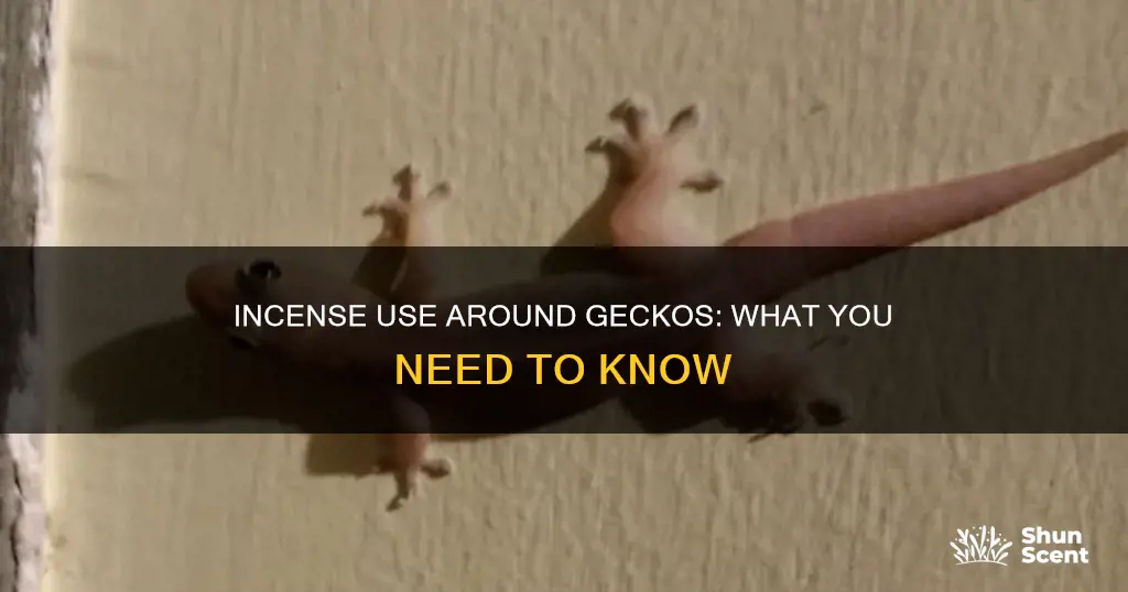 is incense bad for geckos