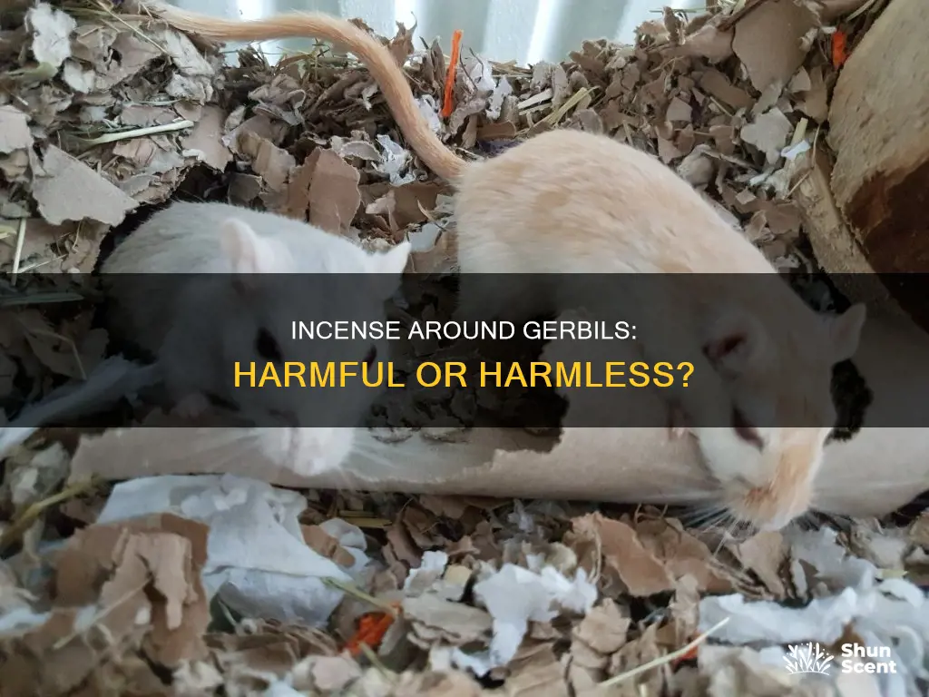 is incense bad for gerbils