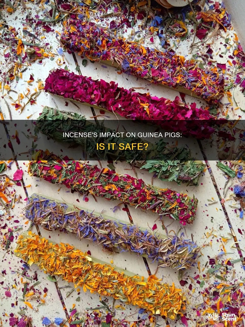 is incense bad for guinea pigs