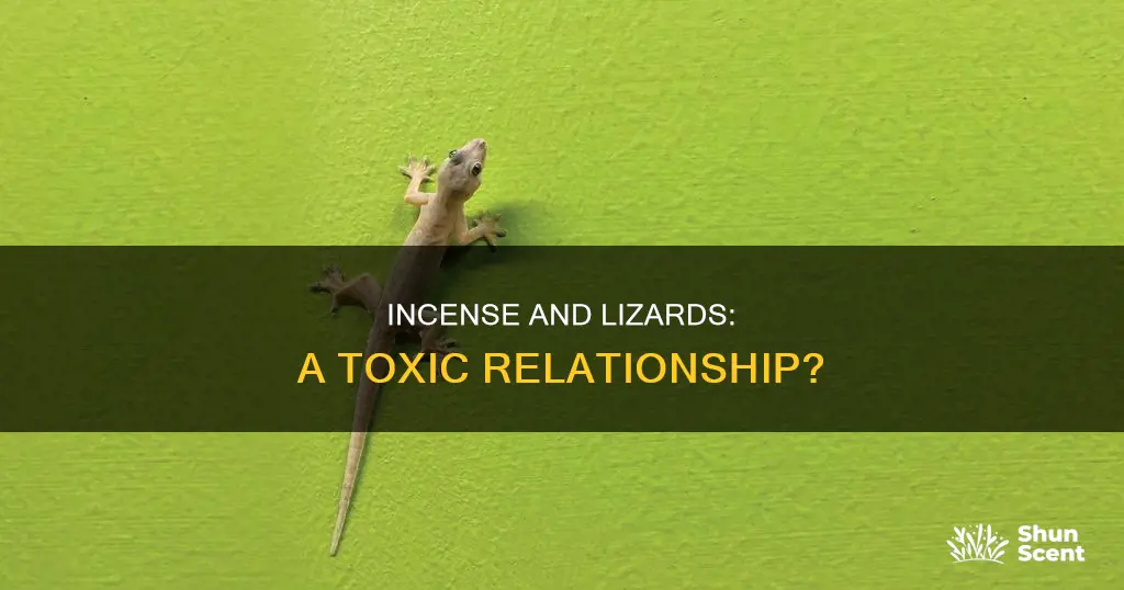 is incense bad for lizards