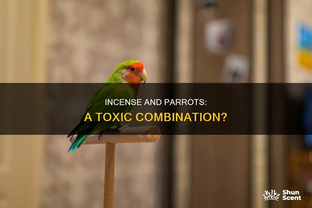 is incense bad for parrots