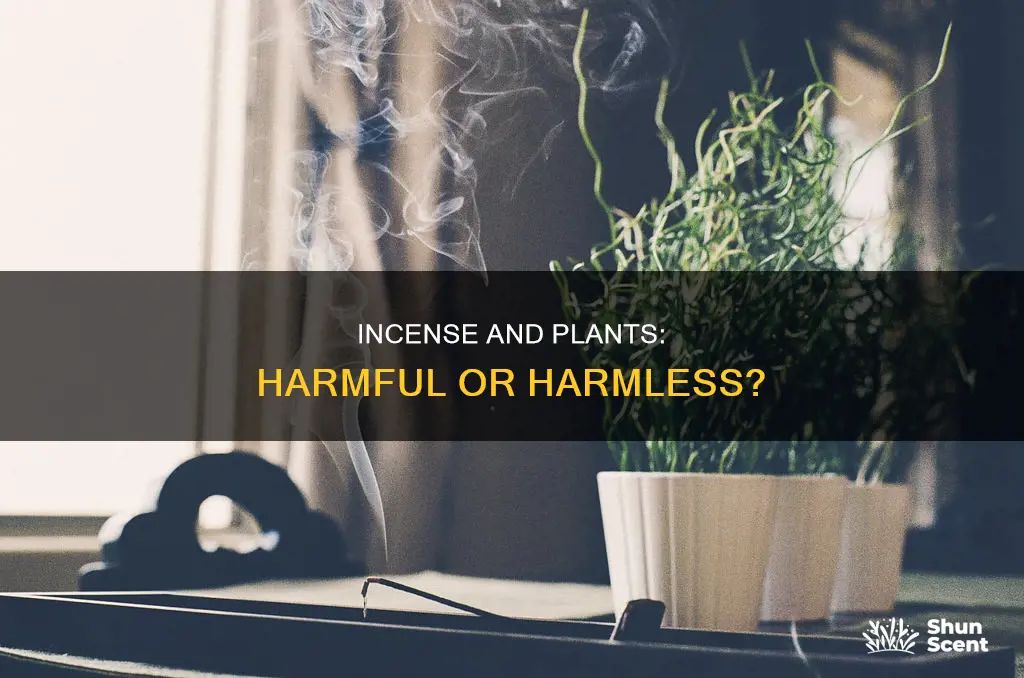 is incense bad for plants