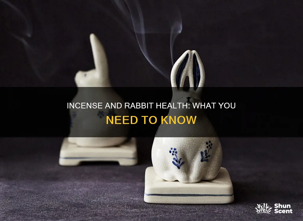 is incense bad for rabbits