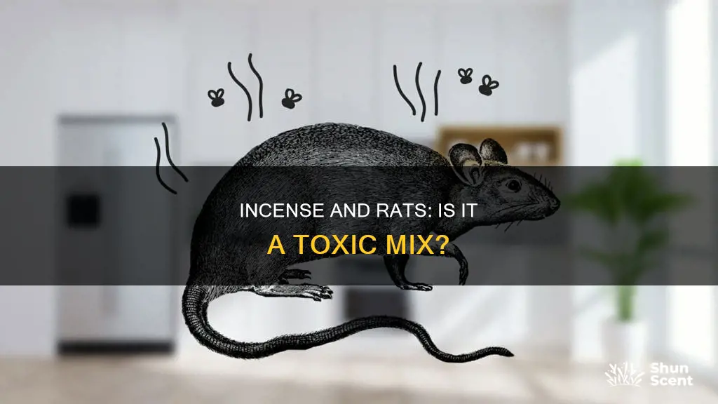 is incense bad for rats