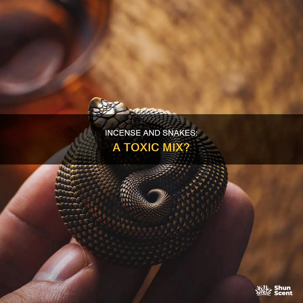 is incense bad for snakes