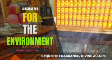 Incense's Environmental Impact: Friend or Foe?