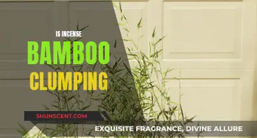 Bamboo Incense: Clumping Nature of Fragrance Sticks