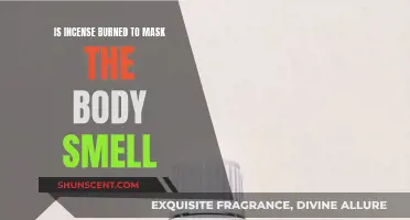 Incense Burning: Masking Body Odor or Spiritual Practice?