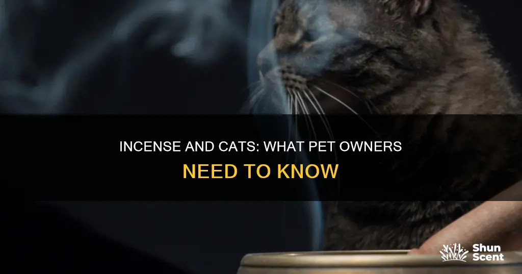 is incense cat safe