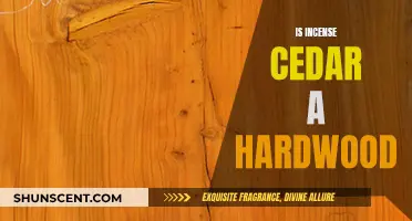 Incense Cedar: Hardwood or Softwood?
