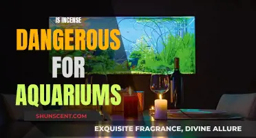 Incense and Aquariums: A Dangerous Mix?