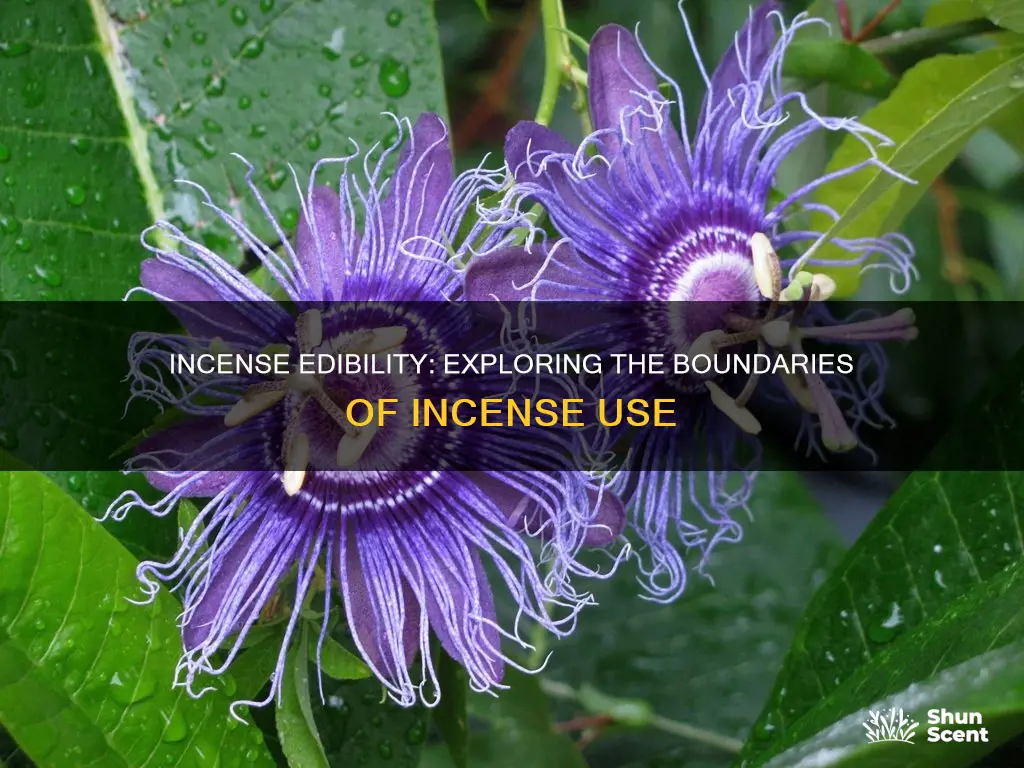 is incense edibe