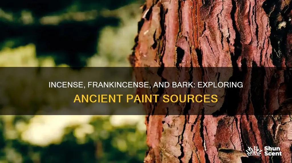 is incense frankincense paint of bark